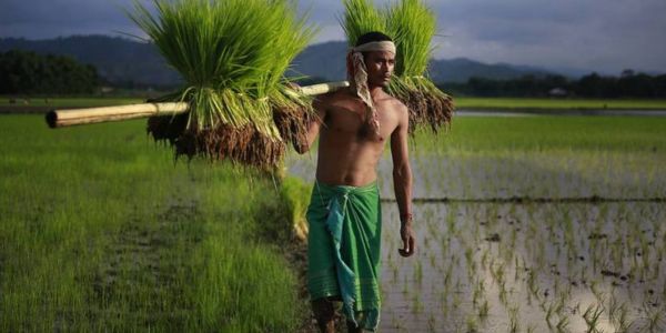 মূল্যস্ফীতি কমাতে কৃষি উৎপাদন বাড়াতে হবে